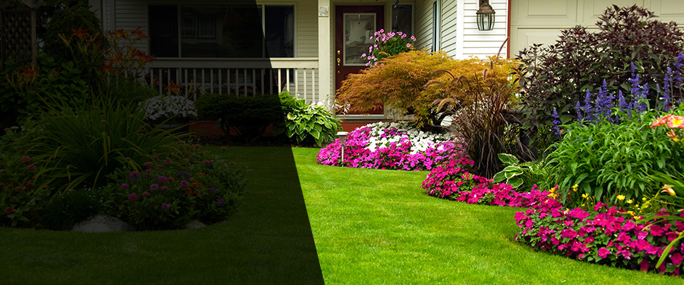 Saint Johns Landscapers